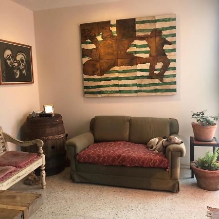 Posada Barbario Con 4 Habitaciones Oaxaca Ngoại thất bức ảnh